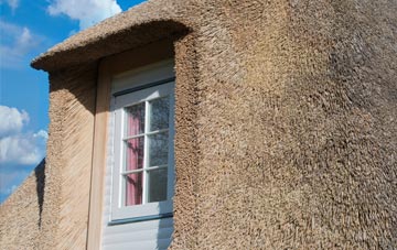 Overpool thatch roof disadvantages